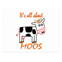 Cow Moos Post Card