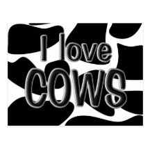Cow Spots Post Card