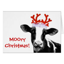 Cow with Reindeer Antlers Cards