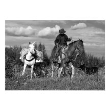 Cowboy Horse & Mule Invitation Cards