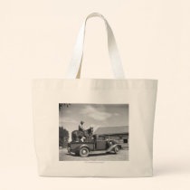 Cowboy with horse in a truck bags