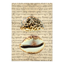 Cowrie shells custom announcements