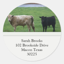 Cows Address Label Stickers