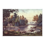 Cows on the Shore of a Lake Gallery Wrapped Canvas