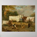 Cows with a herdsman posters