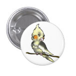 Coy Cockatiel Button