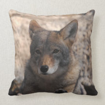 Coyote Beautiful Throw Pillow