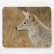 coyote mouse pad