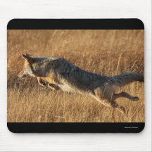 coyote mousemat