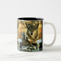 Coyote, Wildlife Lovers Gifts mugs