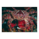 Crab Card