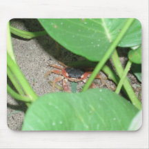 Crab hiding mousepad