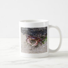 Crabby Coffee Mugs