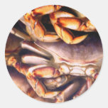 Crabs_ Round Stickers