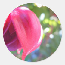 Cracked Fuschia Sticker