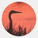 crane sticker