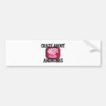 Crazy About Anemones Bumper Stickers