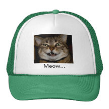 Crazy Cat Hat
