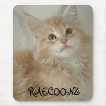 Cream silver kitten Mouse mat