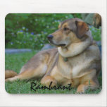 CREATE YOUR OWN PHOTO MOUSE MATS