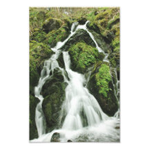 Creek Photo Art