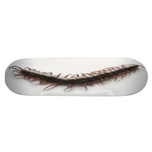 Creepy Centipede Skateboard