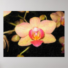 Creme Orchid Oil Pastel Print