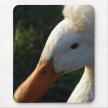 Crested Duck Mousepads