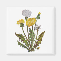 Crewel Embroidered Golden Dandy Lions Refrigerator Magnets