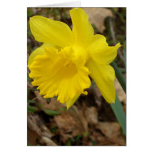 CricketDiane Spring Jonquils Flower Designs Greeting Cards