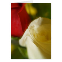Crimson and Cream "Rose" Note Card