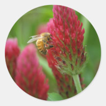 Crimson Clover Round Sticker