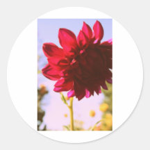 Crimson Flower Sticker