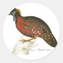 Crimson Horned Pheasant Stickers