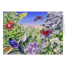 crimson rosellas greeting cards