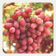 Crimson Seedless Grapes Square Stickers