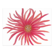 Crimson Wildflower Post Cards