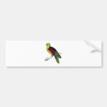 Crimson-Winged Parrakeet (Male adult) by Edward Le Bumper Stickers