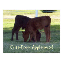 Criss-Cross Applesauce! Calves Postcard