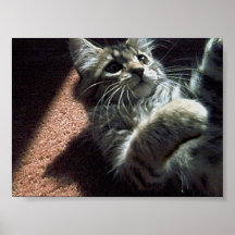 Critter Print
