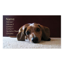 crockettsperfectpic, Name, Address 1, Address 2... Business Cards