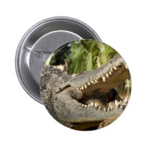 crocodile button