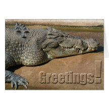 Crocodile Greetings Card