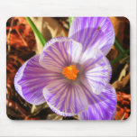 Crocus mousepad