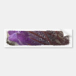 Crocus with Water Beads Bumper Stickers