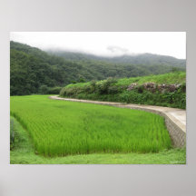 Cropfield Print
