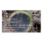 Cross-section of redwood business card