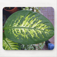 Croton Leaves Texture in Detail Mouse Pads