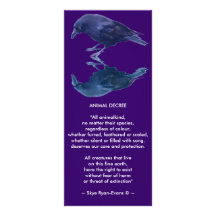 CROW Collection Rack Card