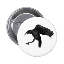 Crow Illustration Pinback Buttons